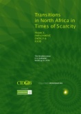 Transitions in North Africa in Times of Scarcity. Finance, employment, energy and food. The Mediterranean in a multipolar World up to 2030